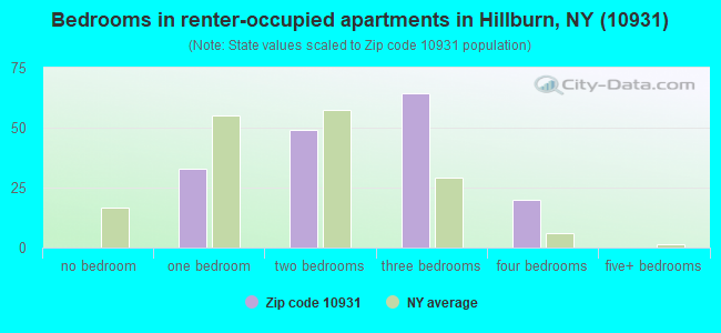 Bedrooms in renter-occupied apartments in Hillburn, NY (10931) 