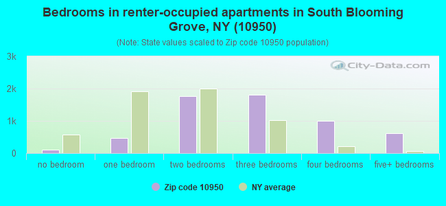 Bedrooms in renter-occupied apartments in South Blooming Grove, NY (10950) 