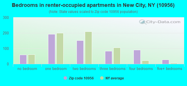 Bedrooms in renter-occupied apartments in New City, NY (10956) 
