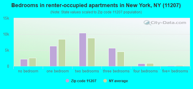 Bedrooms in renter-occupied apartments in New York, NY (11207) 