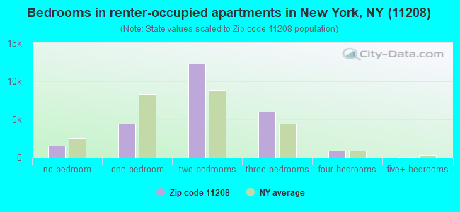 Bedrooms in renter-occupied apartments in New York, NY (11208) 
