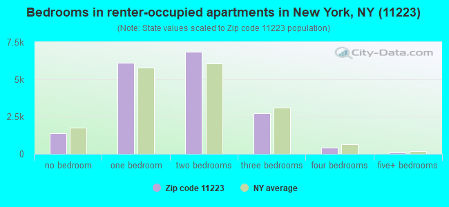 Bedrooms in renter-occupied apartments in New York, NY (11223) 