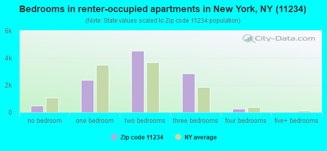 Bedrooms in renter-occupied apartments in New York, NY (11234) 