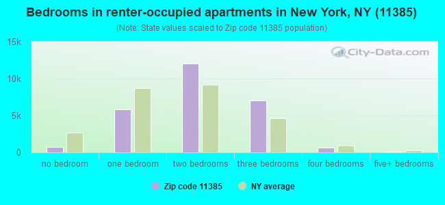 Bedrooms in renter-occupied apartments in New York, NY (11385) 