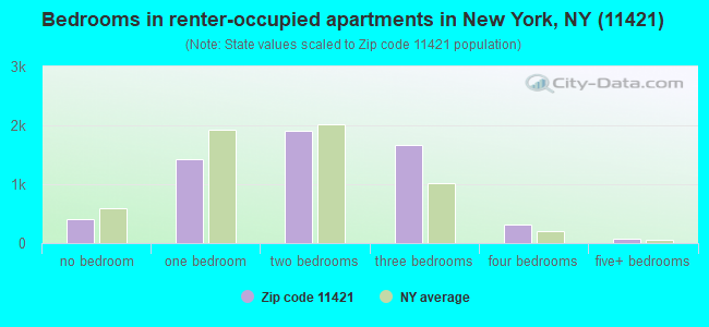 Bedrooms in renter-occupied apartments in New York, NY (11421) 