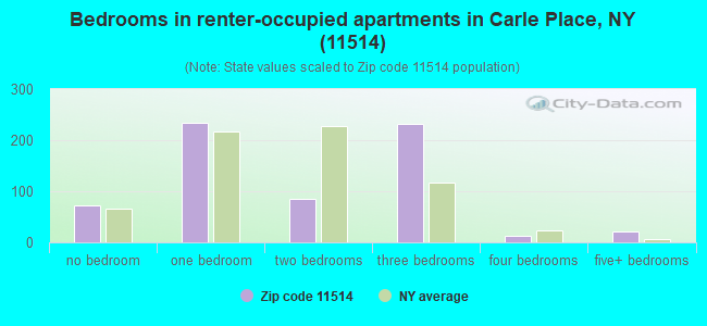 Bedrooms in renter-occupied apartments in Carle Place, NY (11514) 