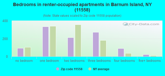 Bedrooms in renter-occupied apartments in Barnum Island, NY (11558) 