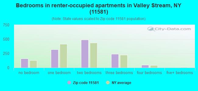 Bedrooms in renter-occupied apartments in Valley Stream, NY (11581) 