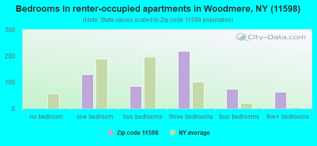 Bedrooms in renter-occupied apartments in Woodmere, NY (11598) 