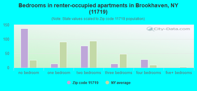 Bedrooms in renter-occupied apartments in Brookhaven, NY (11719) 