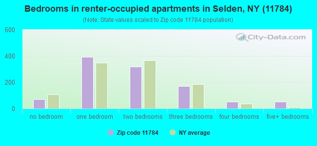 Bedrooms in renter-occupied apartments in Selden, NY (11784) 