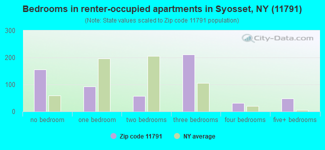Bedrooms in renter-occupied apartments in Syosset, NY (11791) 