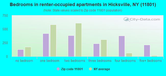 Bedrooms in renter-occupied apartments in Hicksville, NY (11801) 