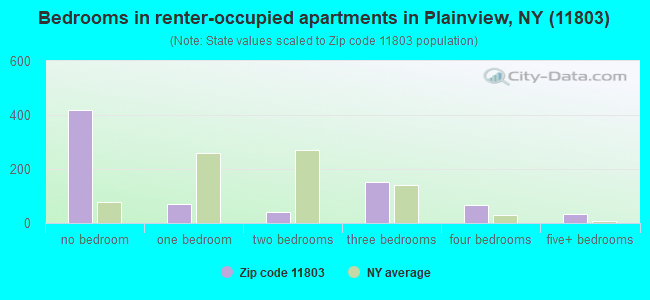 Bedrooms in renter-occupied apartments in Plainview, NY (11803) 