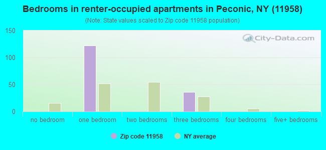 Bedrooms in renter-occupied apartments in Peconic, NY (11958) 
