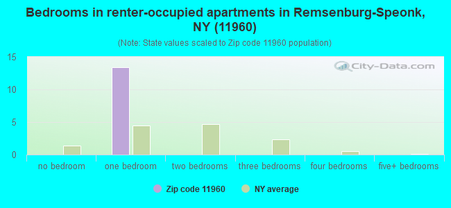 Bedrooms in renter-occupied apartments in Remsenburg-Speonk, NY (11960) 