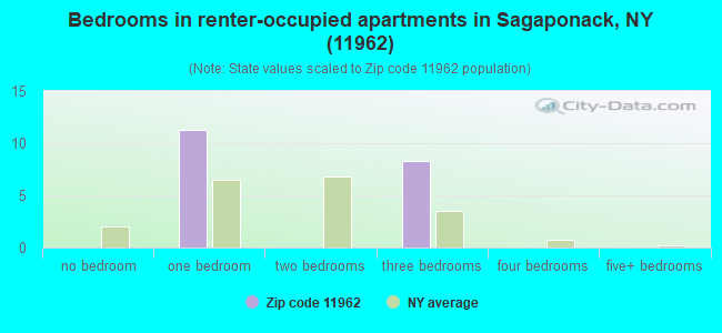 Bedrooms in renter-occupied apartments in Sagaponack, NY (11962) 