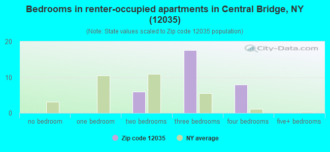 Bedrooms in renter-occupied apartments in Central Bridge, NY (12035) 