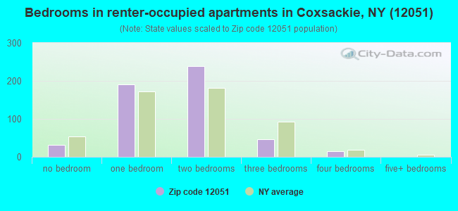 Bedrooms in renter-occupied apartments in Coxsackie, NY (12051) 