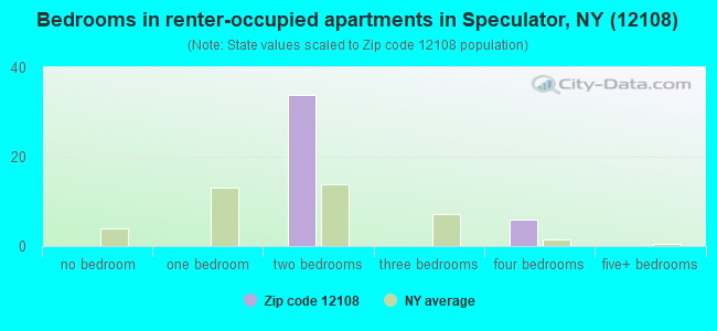 Bedrooms in renter-occupied apartments in Speculator, NY (12108) 
