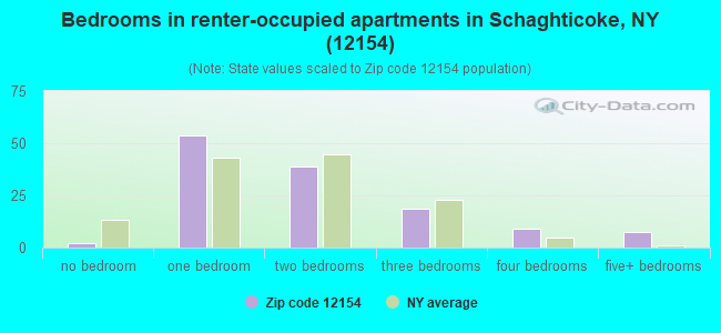 Bedrooms in renter-occupied apartments in Schaghticoke, NY (12154) 