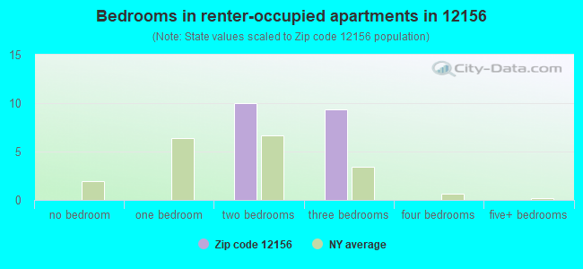 Bedrooms in renter-occupied apartments in 12156 