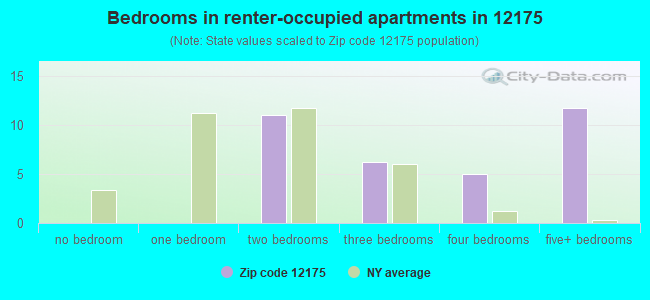 Bedrooms in renter-occupied apartments in 12175 