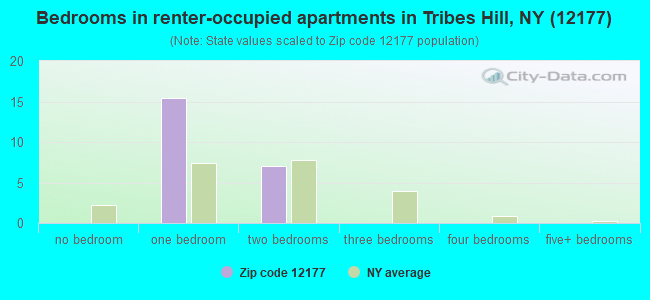 Bedrooms in renter-occupied apartments in Tribes Hill, NY (12177) 