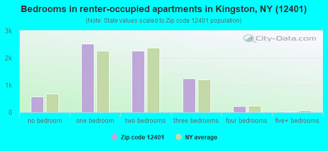 Bedrooms in renter-occupied apartments in Kingston, NY (12401) 