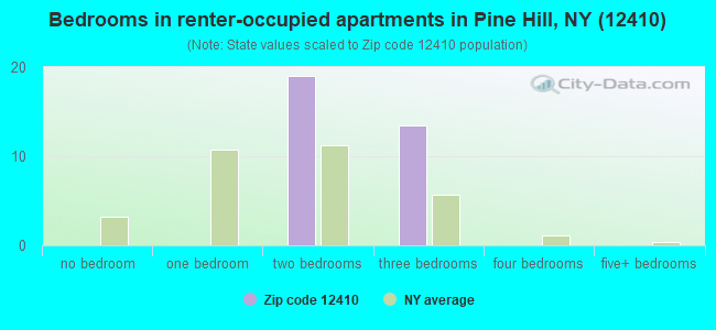 Bedrooms in renter-occupied apartments in Pine Hill, NY (12410) 