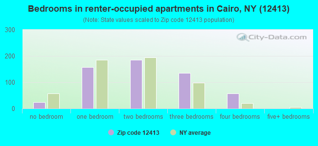 Bedrooms in renter-occupied apartments in Cairo, NY (12413) 