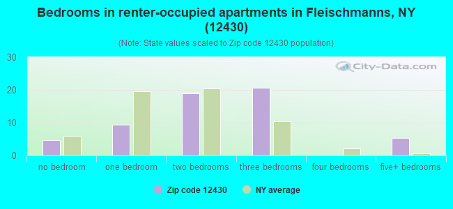 Bedrooms in renter-occupied apartments in Fleischmanns, NY (12430) 
