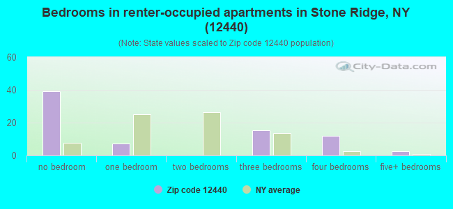 Bedrooms in renter-occupied apartments in Stone Ridge, NY (12440) 