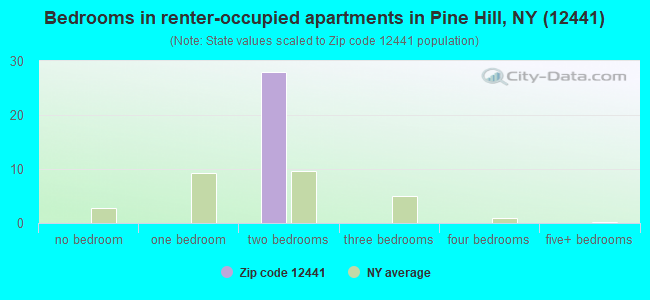 Bedrooms in renter-occupied apartments in Pine Hill, NY (12441) 