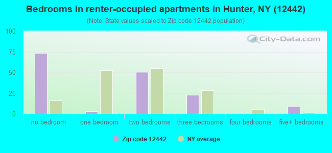 Bedrooms in renter-occupied apartments in Hunter, NY (12442) 