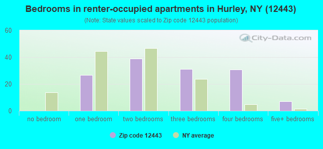 Bedrooms in renter-occupied apartments in Hurley, NY (12443) 