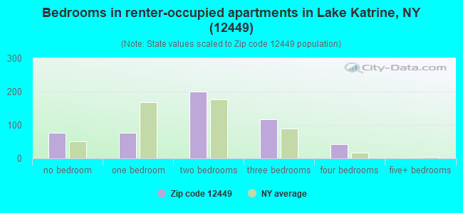 Bedrooms in renter-occupied apartments in Lake Katrine, NY (12449) 