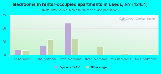Bedrooms in renter-occupied apartments in Leeds, NY (12451) 