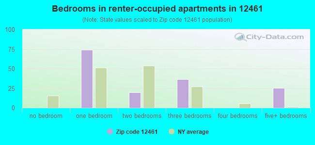 Bedrooms in renter-occupied apartments in 12461 