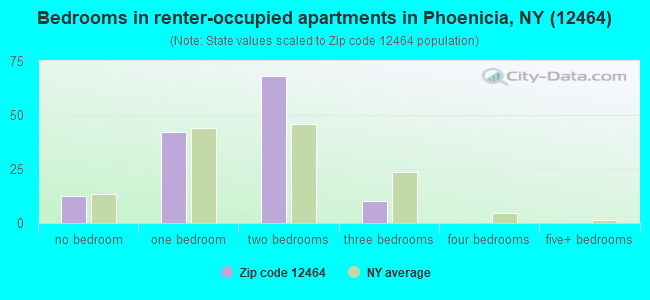 Bedrooms in renter-occupied apartments in Phoenicia, NY (12464) 