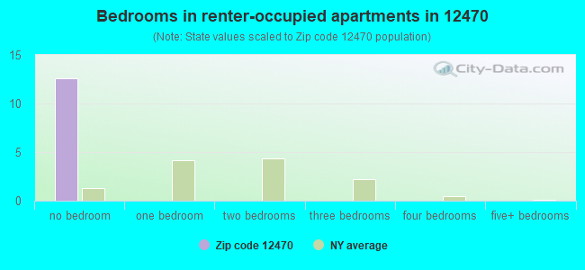 Bedrooms in renter-occupied apartments in 12470 