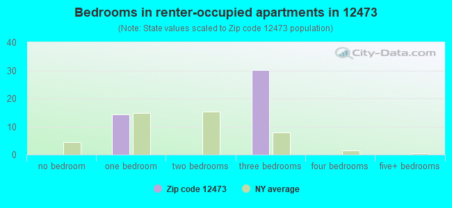 Bedrooms in renter-occupied apartments in 12473 