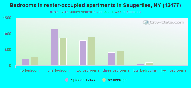 Bedrooms in renter-occupied apartments in Saugerties, NY (12477) 