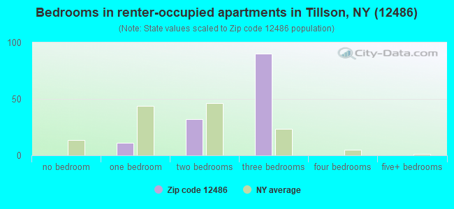 Bedrooms in renter-occupied apartments in Tillson, NY (12486) 