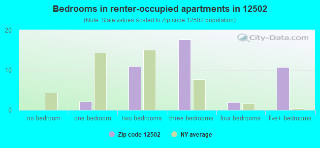 Bedrooms in renter-occupied apartments in 12502 