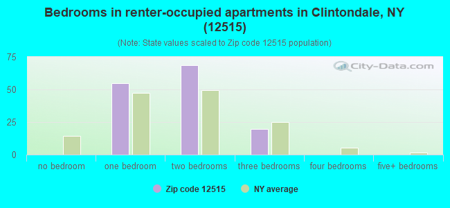 Bedrooms in renter-occupied apartments in Clintondale, NY (12515) 