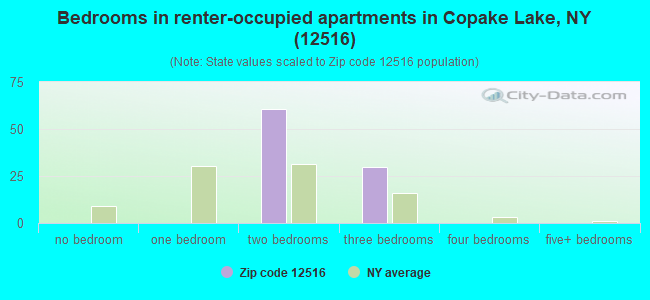 Bedrooms in renter-occupied apartments in Copake Lake, NY (12516) 
