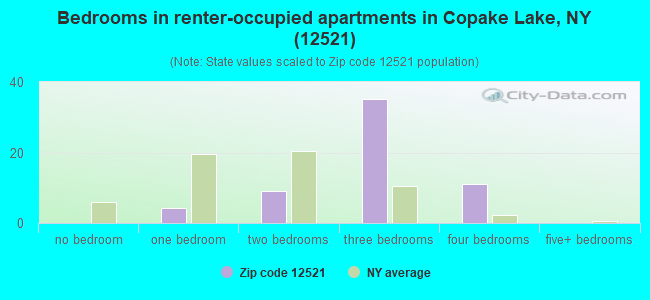 Bedrooms in renter-occupied apartments in Copake Lake, NY (12521) 