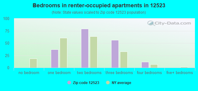 Bedrooms in renter-occupied apartments in 12523 