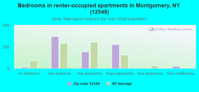 Bedrooms in renter-occupied apartments in Montgomery, NY (12549) 